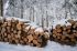 Foto: Holzstapel im Schnee