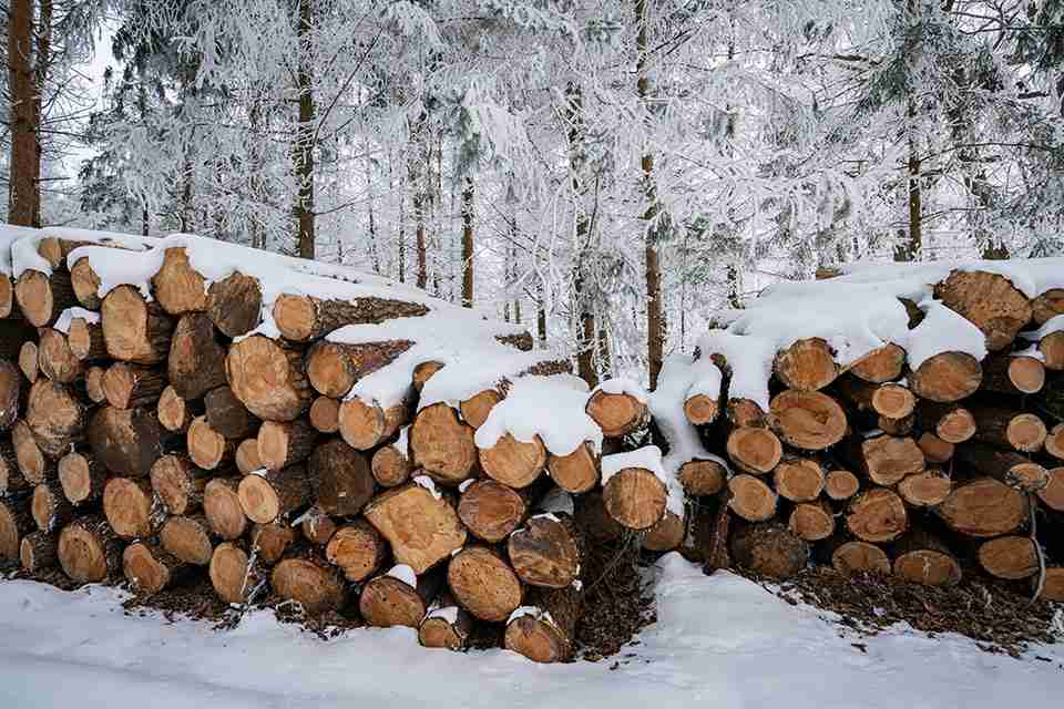 Foto: Holzstapel im Schnee